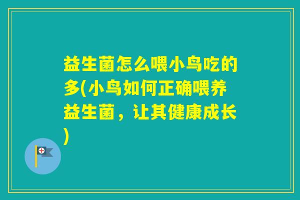 益生菌怎么喂小鸟吃的多(小鸟如何正确喂养益生菌，让其健康成长)