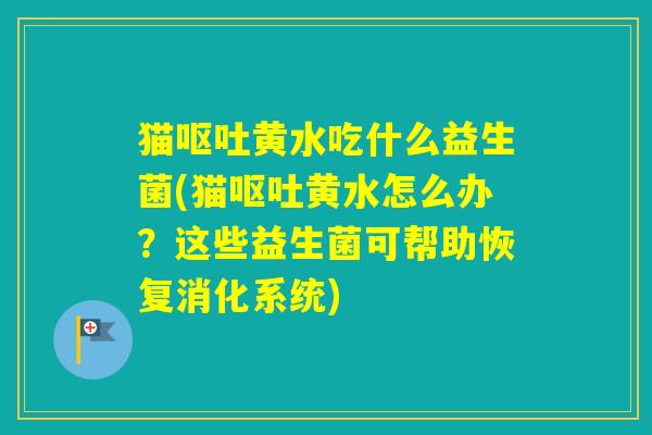 猫黄水吃什么益生菌(猫黄水怎么办？这些益生菌可帮助恢复消化系统)