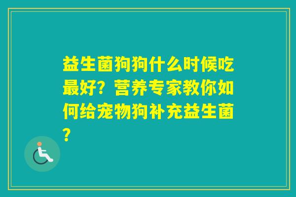 益生菌狗狗什么时候吃好？营养专家教你如何给宠物狗补充益生菌？