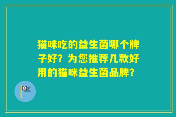 猫咪吃的益生菌哪个牌子好？为您推荐几款好用的猫咪益生菌品牌？