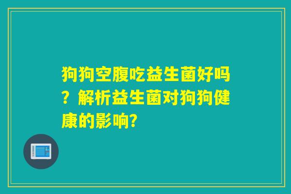 狗狗空腹吃益生菌好吗？解析益生菌对狗狗健康的影响？