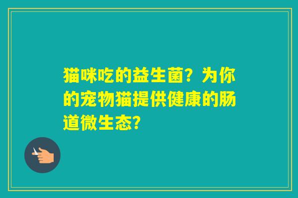 猫咪吃的益生菌?为你的宠物猫提供健康的肠道微生态? 猫咪吃的益生菌?为你的宠物猫提供健康的肠道微生态?