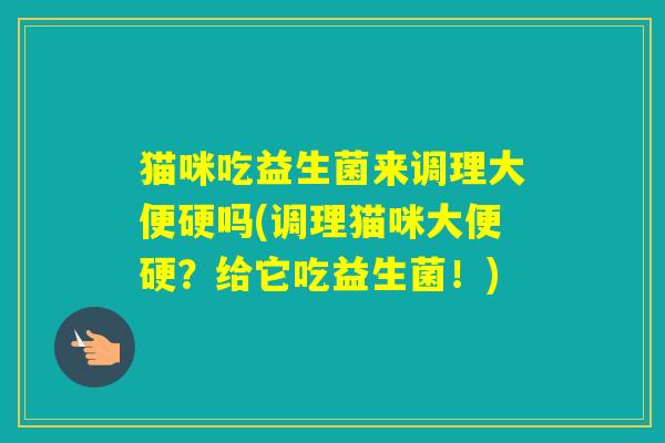 猫咪吃益生菌来调理大便硬吗(调理猫咪大便硬？给它吃益生菌！)
