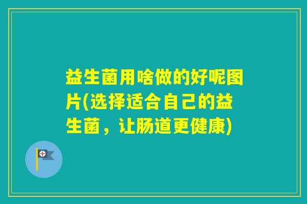 益生菌用啥做的好呢图片(选择适合自己的益生菌,让肠道更健康) 益生菌用啥做的好呢图片(选择适合自己的益生菌,让肠道更健康)