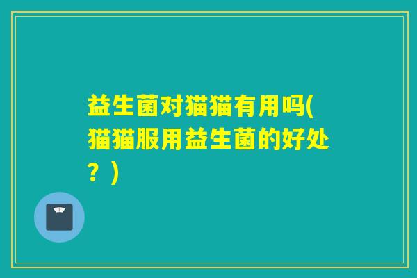 益生菌对猫猫有用吗(猫猫服用益生菌的好处？)