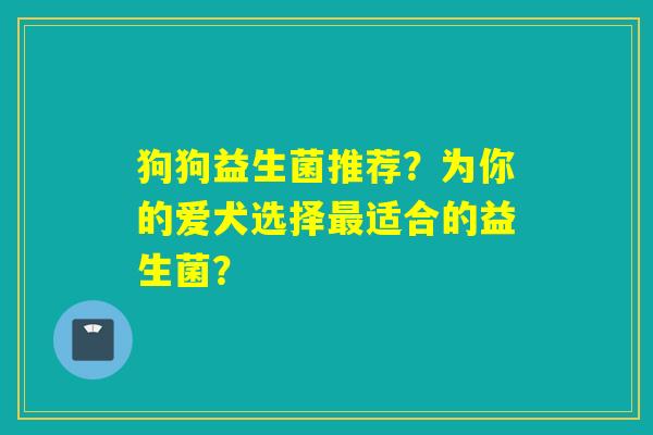 狗狗益生菌推荐？为你的爱犬选择适合的益生菌？