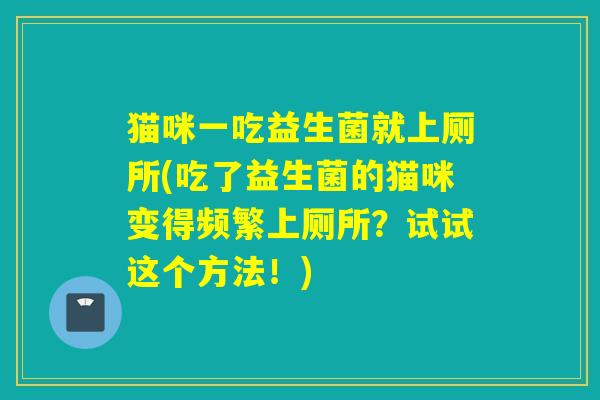 猫咪一吃益生菌就上厕所(吃了益生菌的猫咪变得频繁上厕所?试试这个方法!) 猫咪一吃益生菌就上厕所(吃了益生菌的猫咪变得频繁上厕所?试试这个方法!)