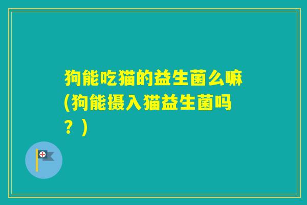 狗能吃猫的益生菌么嘛(狗能摄入猫益生菌吗？)