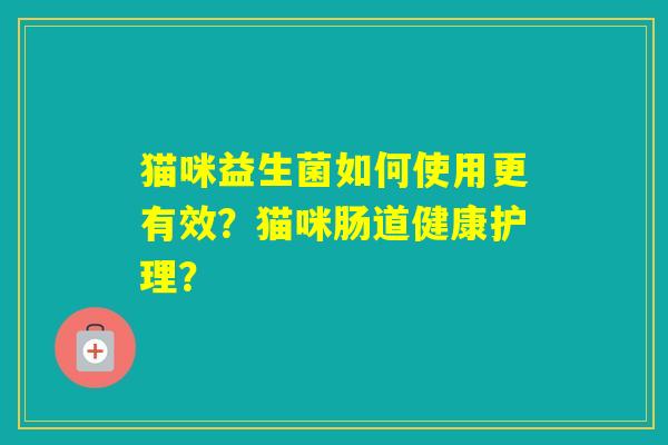 猫咪益生菌如何使用更有效？猫咪肠道健康护理？