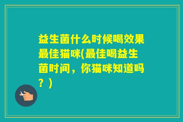 益生菌什么时候喝效果佳猫咪(佳喝益生菌时间，你猫咪知道吗？)