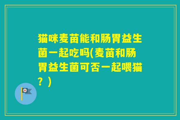 猫咪麦苗能和肠胃益生菌一起吃吗(麦苗和肠胃益生菌可否一起喂猫?) 猫咪麦苗能和肠胃益生菌一起吃吗(麦苗和肠胃益生菌可否一起喂猫?)