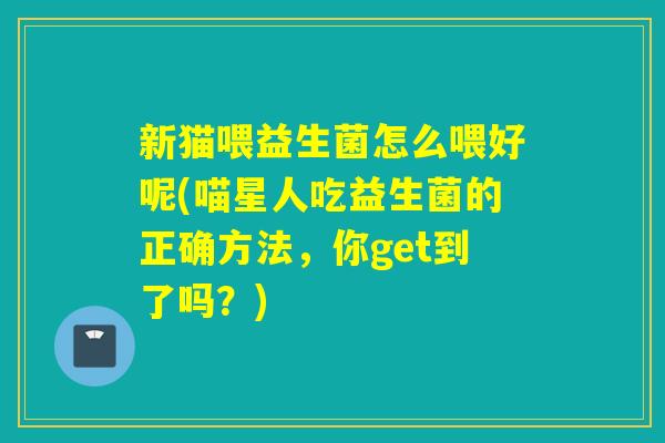 新猫喂益生菌怎么喂好呢(喵星人吃益生菌的正确方法,你get到了吗?) 新猫喂益生菌怎么喂好呢(喵星人吃益生菌的正确方法,你get到了吗?)
