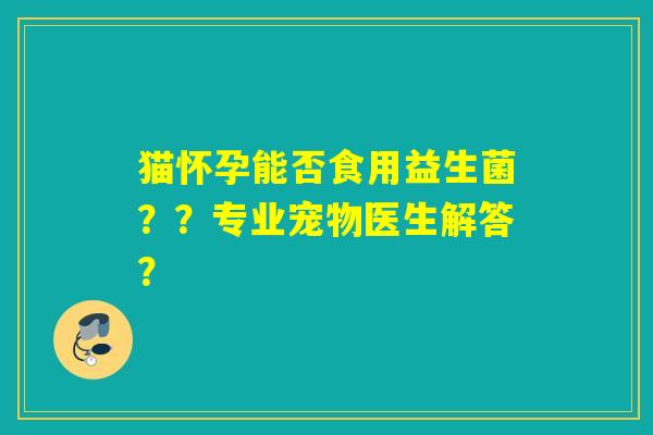 猫怀孕能否食用益生菌??专业宠物医生解答? 猫怀孕能否食用益生菌??专业宠物医生解答?