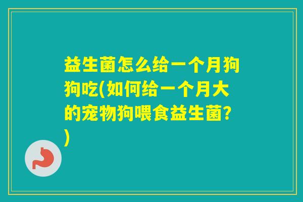 益生菌怎么给一个月狗狗吃(如何给一个月大的宠物狗喂食益生菌？)