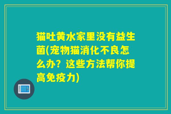 猫吐黄水家里没有益生菌(宠物猫怎么办?这些方法帮你提高力) 猫吐黄水家里没有益生菌(宠物猫怎么办?这些方法帮你提高力)