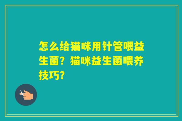 怎么给猫咪用针管喂益生菌？猫咪益生菌喂养技巧？