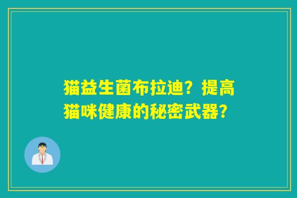 猫益生菌布拉迪？提高猫咪健康的秘密武器？