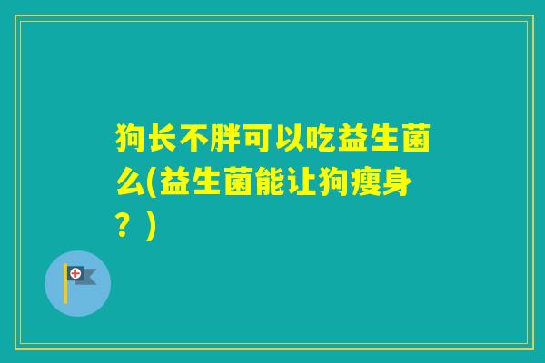 狗长不胖可以吃益生菌么(益生菌能让狗瘦身？)