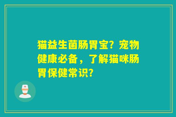猫益生菌肠胃宝？宠物健康必备，了解猫咪肠胃保健常识？