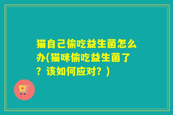 猫自己偷吃益生菌怎么办(猫咪偷吃益生菌了?该如何应对?) 猫自己偷吃益生菌怎么办(猫咪偷吃益生菌了?该如何应对?)