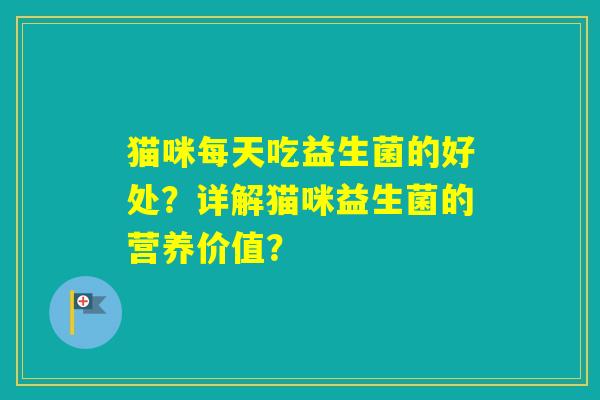 猫咪每天吃益生菌的好处？详解猫咪益生菌的营养价值？