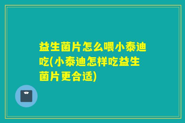 益生菌片怎么喂小泰迪吃(小泰迪怎样吃益生菌片更合适) 益生菌片怎么喂小泰迪吃(小泰迪怎样吃益生菌片更合适)