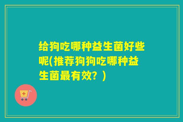 给狗吃哪种益生菌好些呢(推荐狗狗吃哪种益生菌有效？)