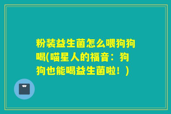 粉装益生菌怎么喂狗狗喝(喵星人的福音：狗狗也能喝益生菌啦！)