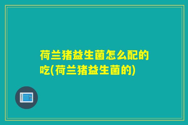 荷兰猪益生菌怎么配的吃(荷兰猪益生菌的) 荷兰猪益生菌怎么配的吃(荷兰猪益生菌的)