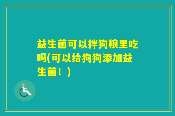 益生菌可以拌狗粮里吃吗(可以给狗狗添加益生菌！)