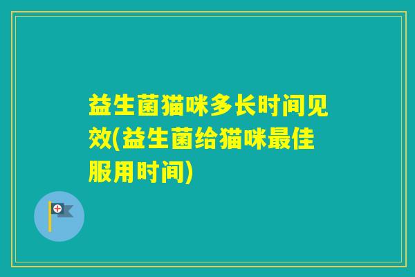 益生菌猫咪多长时间见效(益生菌给猫咪佳服用时间)