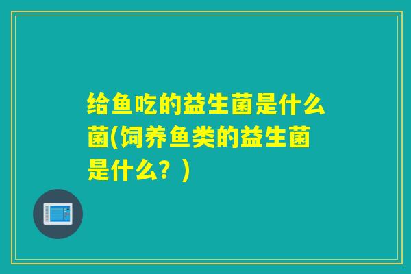 给鱼吃的益生菌是什么菌(饲养鱼类的益生菌是什么？)
