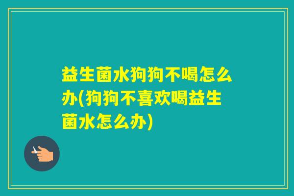益生菌水狗狗不喝怎么办(狗狗不喜欢喝益生菌水怎么办)