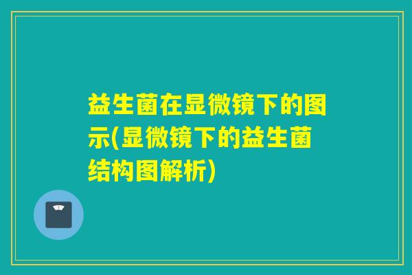 益生菌在显微镜下的图示(显微镜下的益生菌结构图解析)