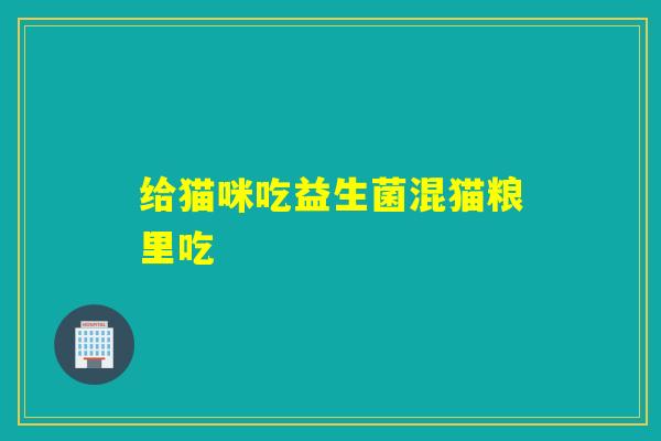 给猫咪吃益生菌混猫粮里吃