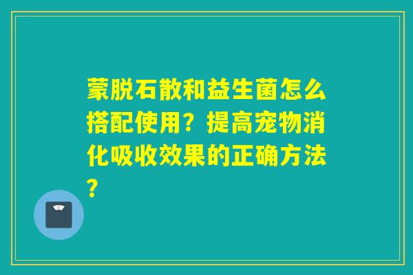 蒙脱石散和益生菌怎么搭配使用？提高宠物消化吸收效果的正确方法？