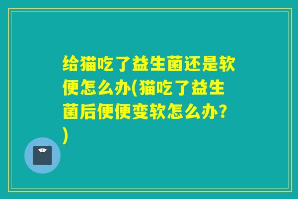 给猫吃了益生菌还是软便怎么办(猫吃了益生菌后便便变软怎么办?) 给猫吃了益生菌还是软便怎么办(猫吃了益生菌后便便变软怎么办?)