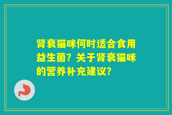 衰猫咪何时适合食用益生菌?关于衰猫咪的营养补充建议? 衰猫咪何时适合食用益生菌?关于衰猫咪的营养补充建议?