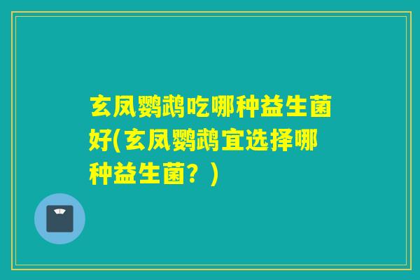 玄凤鹦鹉吃哪种益生菌好(玄凤鹦鹉宜选择哪种益生菌？)