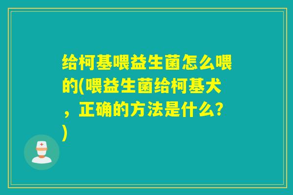 给柯基喂益生菌怎么喂的(喂益生菌给柯基犬，正确的方法是什么？)