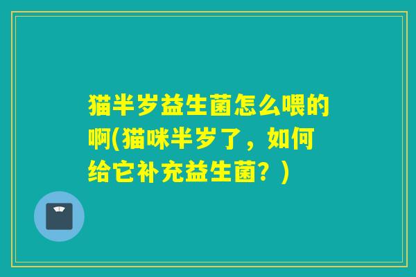 猫半岁益生菌怎么喂的啊(猫咪半岁了，如何给它补充益生菌？)