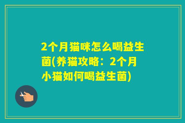 2个月猫咪怎么喝益生菌(养猫攻略:2个月小猫如何喝益生菌) 2个月猫咪怎么喝益生菌(养猫攻略:2个月小猫如何喝益生菌)