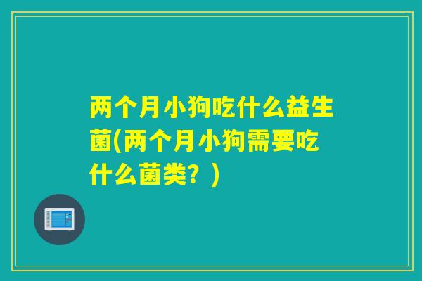 两个月小狗吃什么益生菌(两个月小狗需要吃什么菌类？)