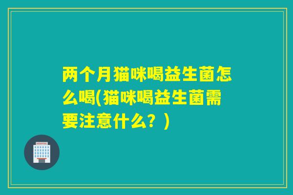 两个月猫咪喝益生菌怎么喝(猫咪喝益生菌需要注意什么？)