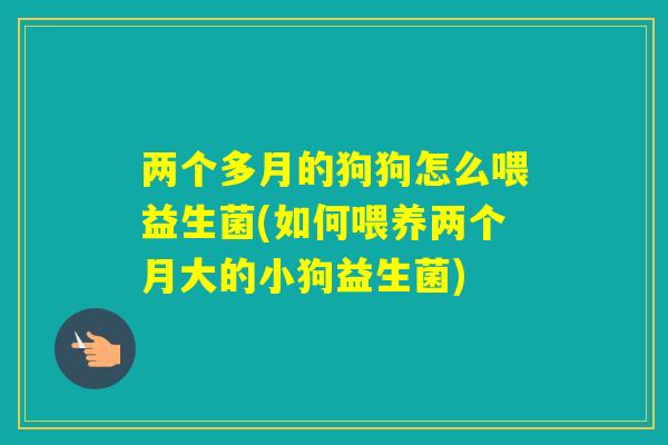 两个多月的狗狗怎么喂益生菌(如何喂养两个月大的小狗益生菌)