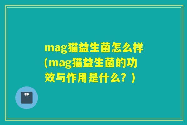 mag猫益生菌怎么样(mag猫益生菌的功效与作用是什么?) mag猫益生菌怎么样(mag猫益生菌的功效与作用是什么?)