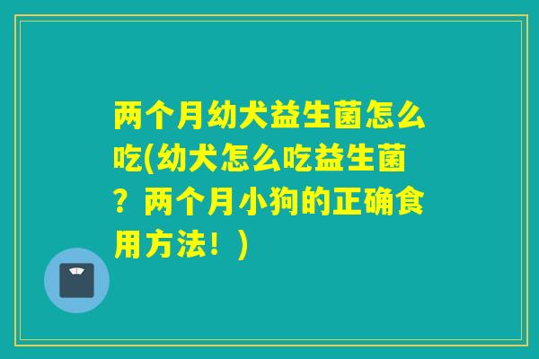 两个月幼犬益生菌怎么吃(幼犬怎么吃益生菌?两个月小狗的正确食用方法!) 两个月幼犬益生菌怎么吃(幼犬怎么吃益生菌?两个月小狗的正确食用方法!)