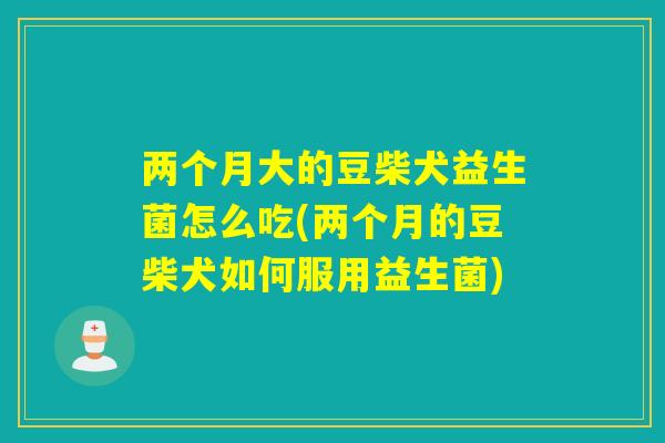 两个月大的豆柴犬益生菌怎么吃(两个月的豆柴犬如何服用益生菌)