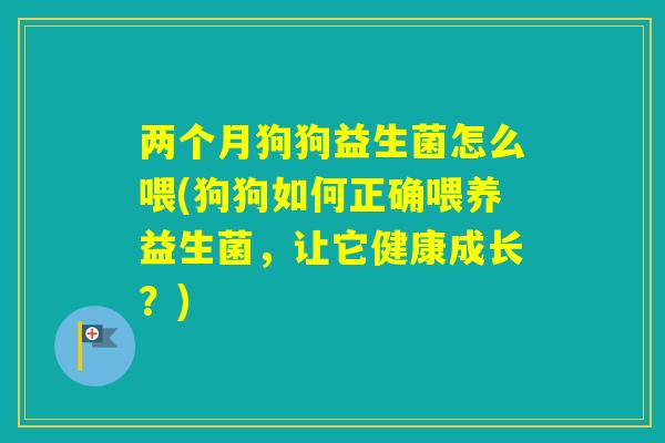 两个月狗狗益生菌怎么喂(狗狗如何正确喂养益生菌,让它健康成长?) 两个月狗狗益生菌怎么喂(狗狗如何正确喂养益生菌,让它健康成长?)
