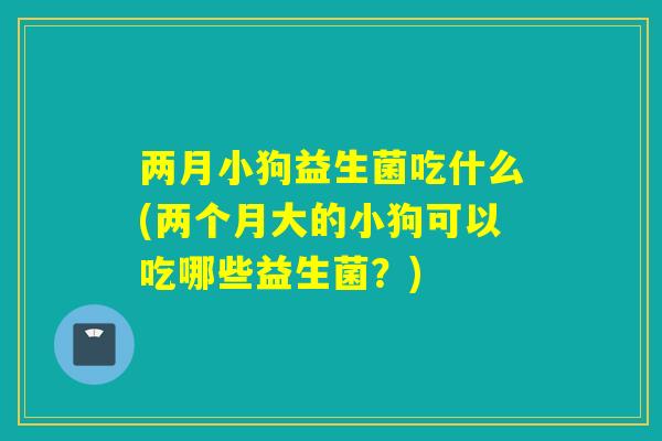 两月小狗益生菌吃什么(两个月大的小狗可以吃哪些益生菌？)